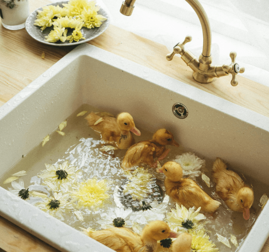 Ducks swimming in a sink filled with water, creating a cute and whimsical scene.