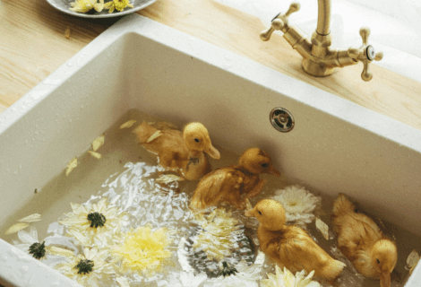 Ducks swimming in a sink filled with water, creating a cute and whimsical scene.