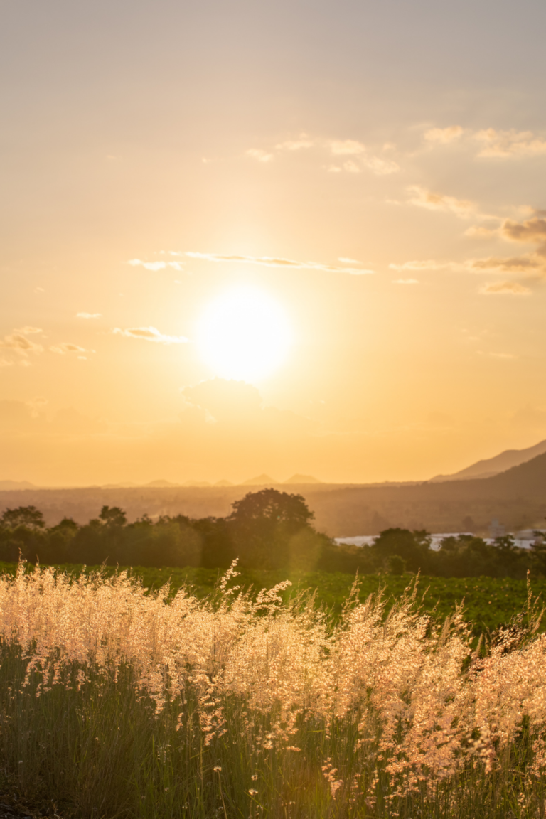 How to Create a Morning Routine That Actually Works